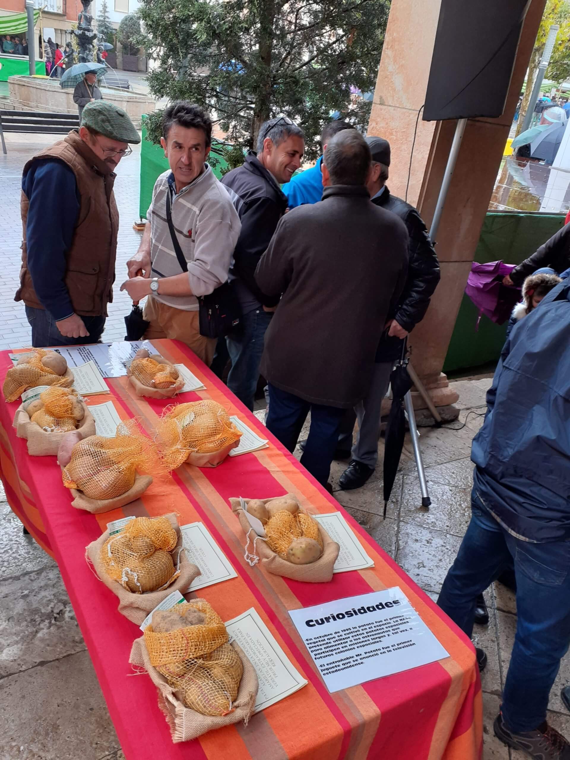 Herrera de Pisuerga, Feria de la Patata